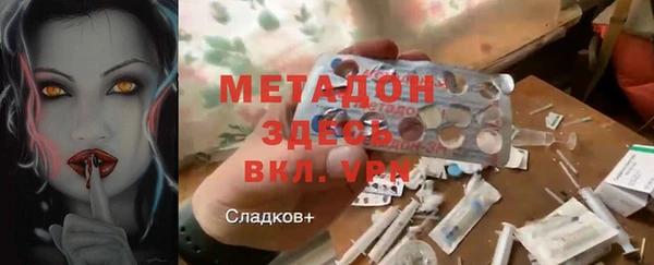 индика Арсеньев