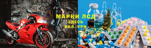 индика Арсеньев