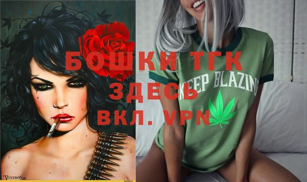 индика Арсеньев