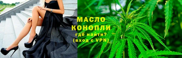 индика Арсеньев