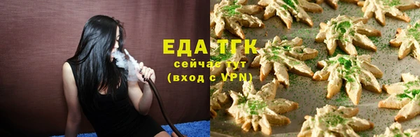 индика Арсеньев