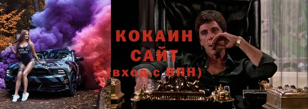 индика Арсеньев