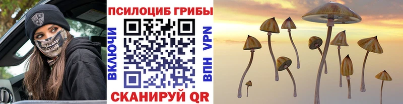 Галлюциногенные грибы MAGIC MUSHROOMS  ОМГ ОМГ tor  Артёмовск  где купить  